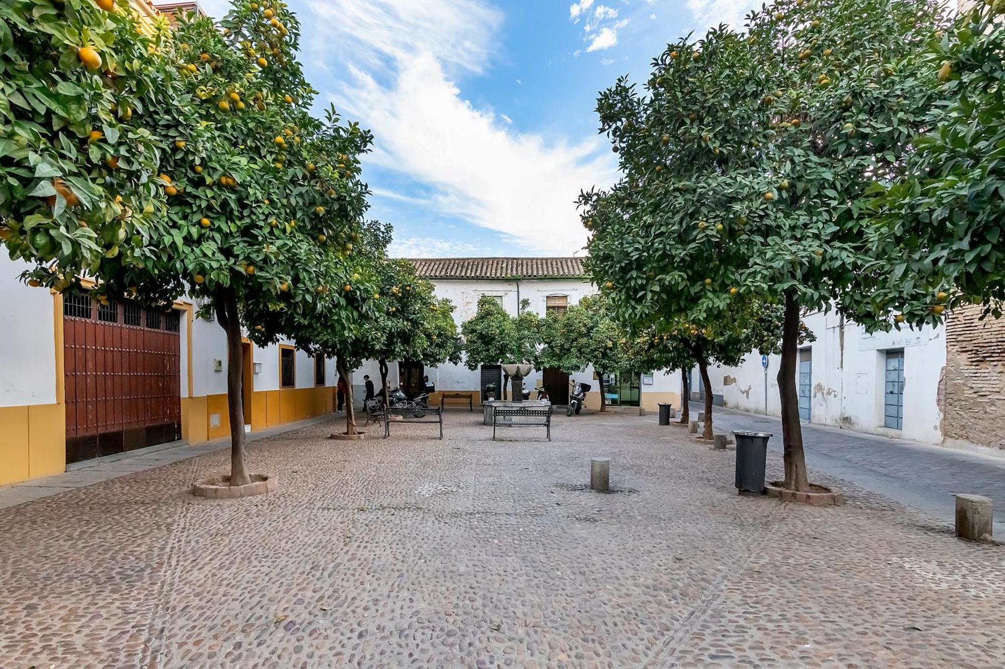 Bhost - Regina VIII Apartment Cordoba Exterior photo